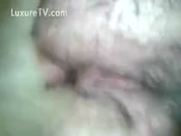 A dog seizes raunchy fulfillment by the fuck of a Man